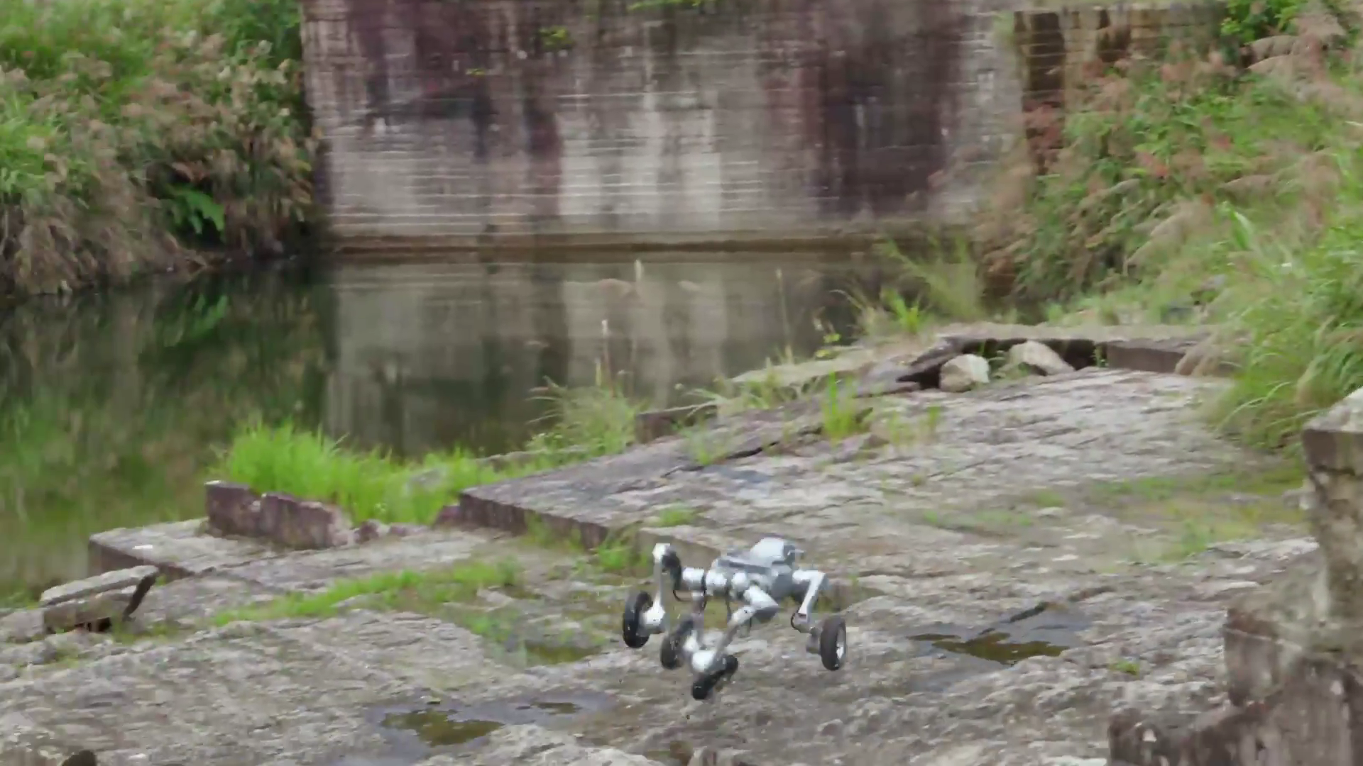 Le robot Unitree Super Athlete AS2-W en action sur terrain rocheux