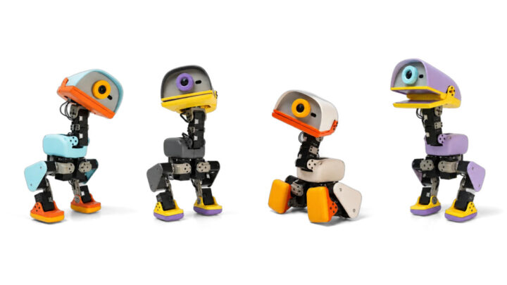 Quatre robots bipèdes Microduck de différentes couleurs alignés
