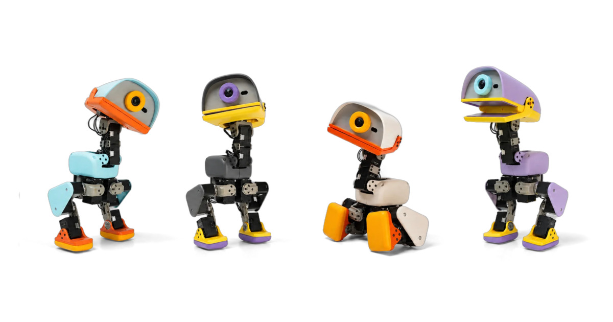 Quatre robots bipèdes Microduck de différentes couleurs alignés