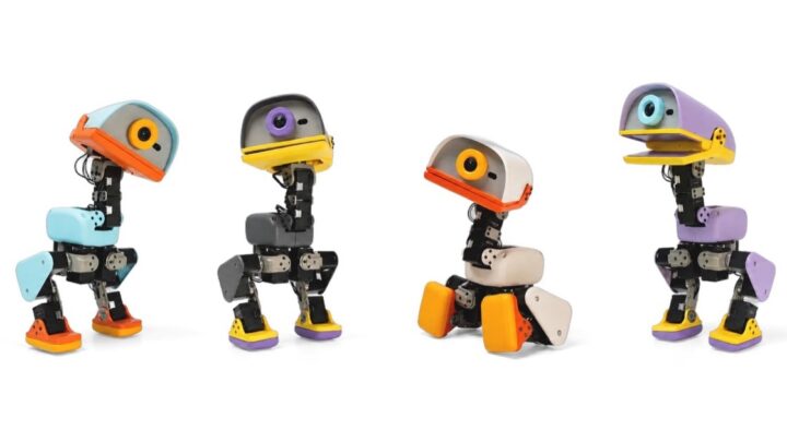 Quatre robots bipèdes Microduck dans leurs différents coloris
