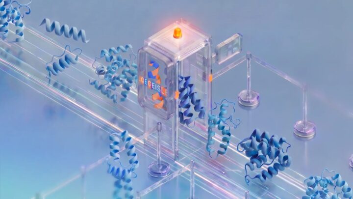 Visualisation scientifique d’une protéine marquée avec SynthID Bio
