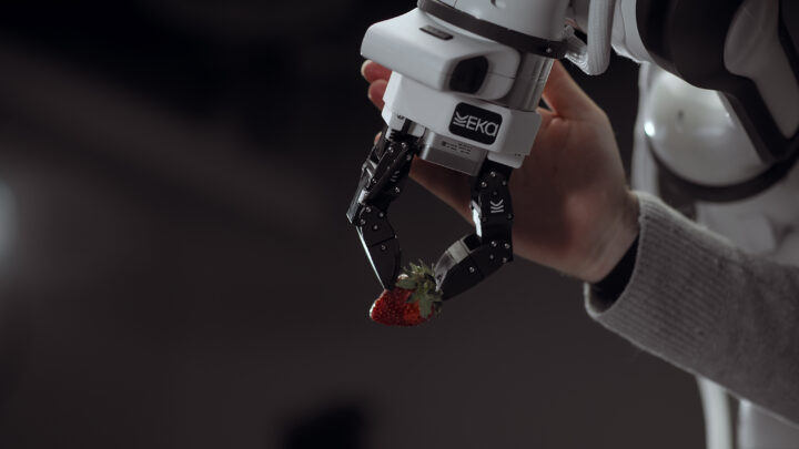 Pince robotique d’Eka Robotics saisissant délicatement une framboise