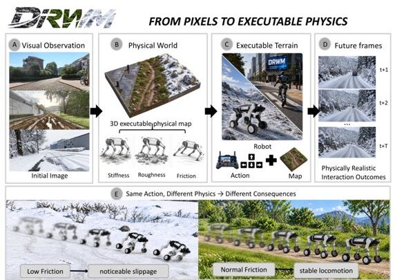 Schéma de DR-WM montrant un robot quadrupède à roues simulant ses déplacements sur plusieurs terrains